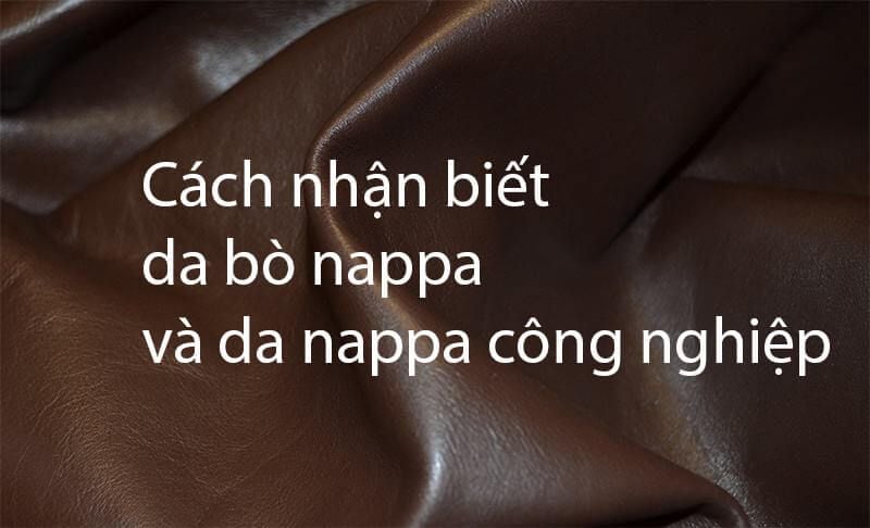 Da nappa là gì? Cách nhận biết da bò nappa thật và da nappa công nghiệp