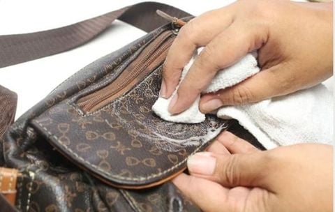 Túi Da Thật Bị Mốc Và Cách Xử Lý Tân Trang Để Đồ Da Như Mới Sử Dụng