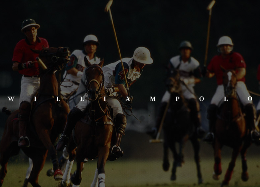 Túi Xách Nữ William POLO Đeo Chéo & Xách Tay Thời Trang SBM361