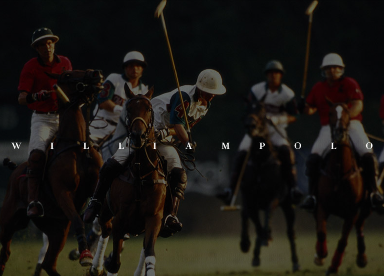 Túi Xách Nữ William POLO Đeo Chéo & Xách Tay Thời Trang SBM361