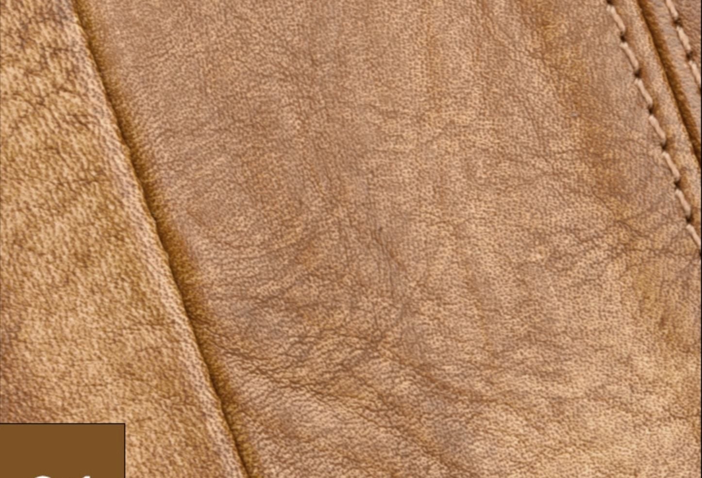 Cặp Da Bò VEG Italy Nhập Khẩu Đựng Laptop Phong Cách Cổ Điển SBM196